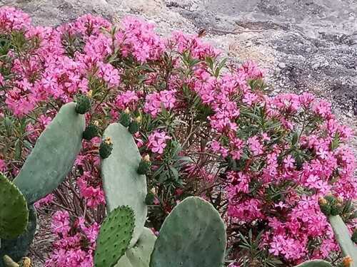 Thumbnail 4405279 - 14