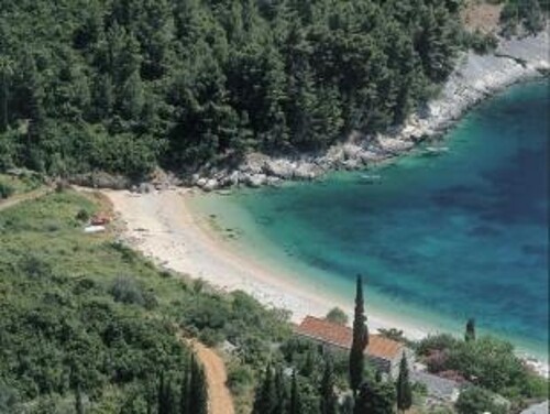 Thumbnail 4405279 - 12