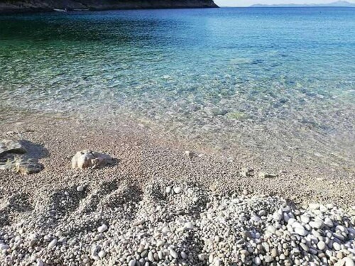 Thumbnail 4405279 - 18