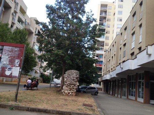 Thumbnail 4405437 - 13