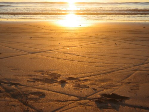 Thumbnail 4405525 - 13