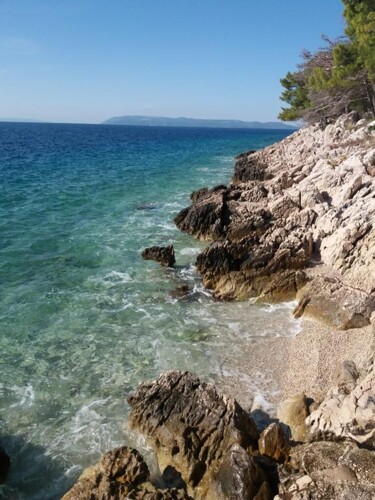 Thumbnail 4405616 - 8