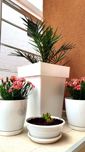 Thumbnail 4405690 - 19