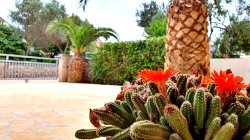 Thumbnail 4405690 - 14