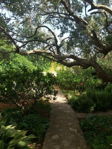 Thumbnail 4405713 - 5