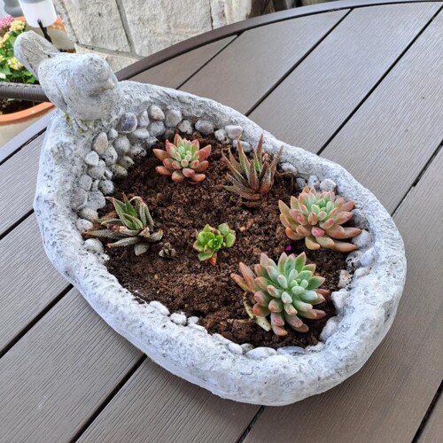 Thumbnail 4405849 - 15