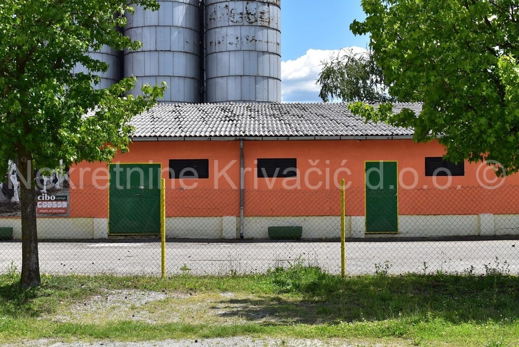 Image 4411000 - 4