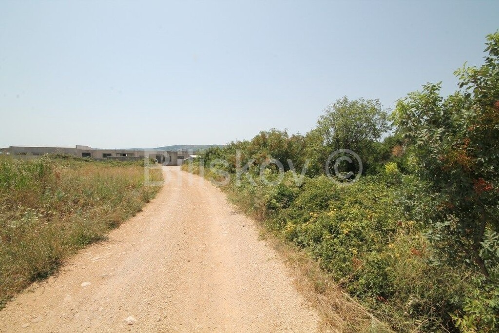 Image 4427077 - 4