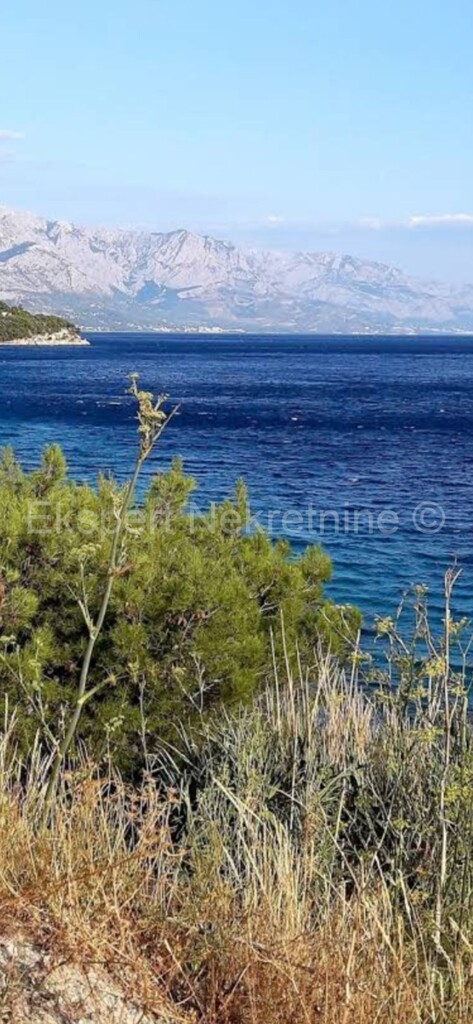 Image 4427078 - 2
