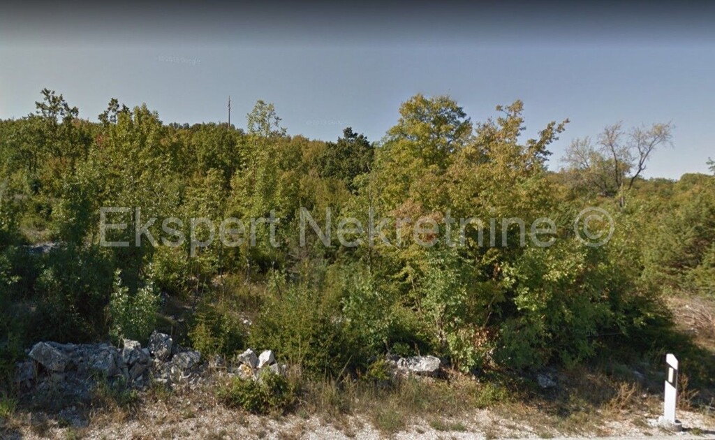 Image 4445723 - 1