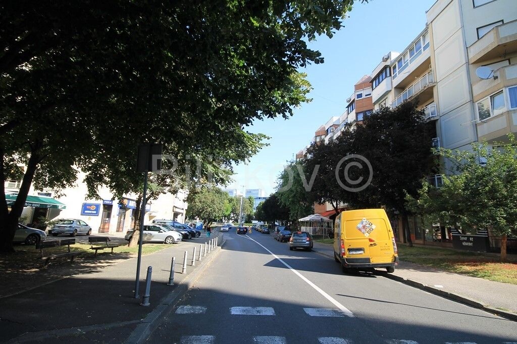 Image 4455608 - 1