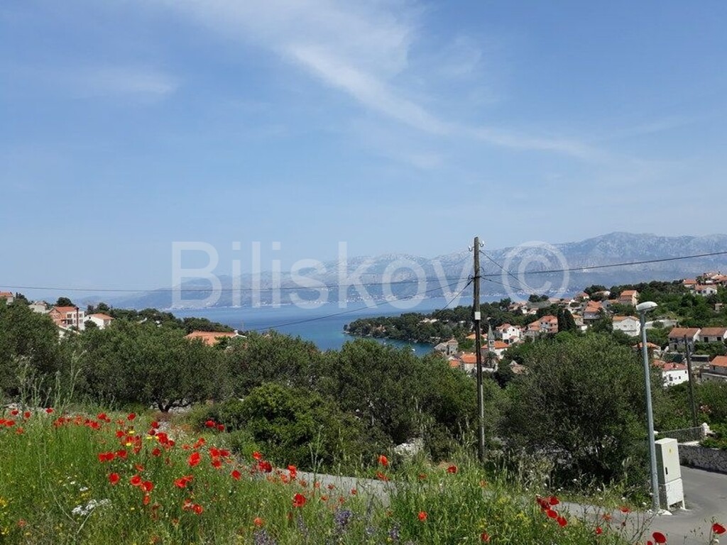 Image 4456337 - 1