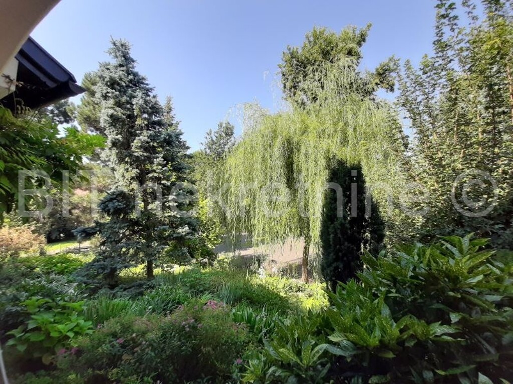Image 4466092 - 33