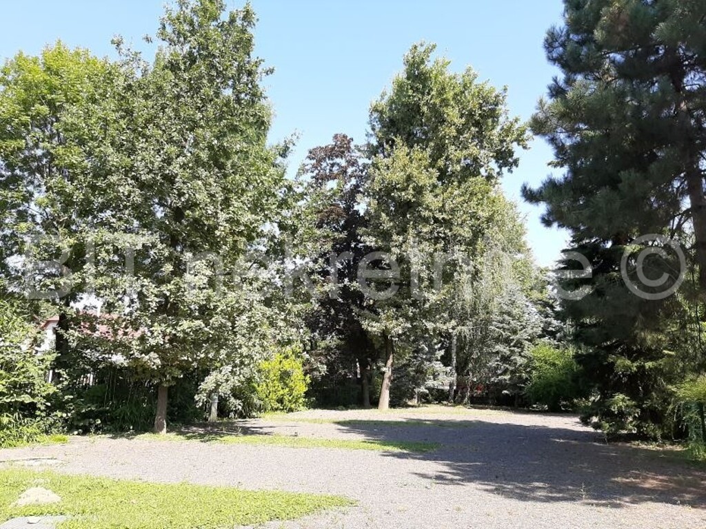 Image 4466092 - 34