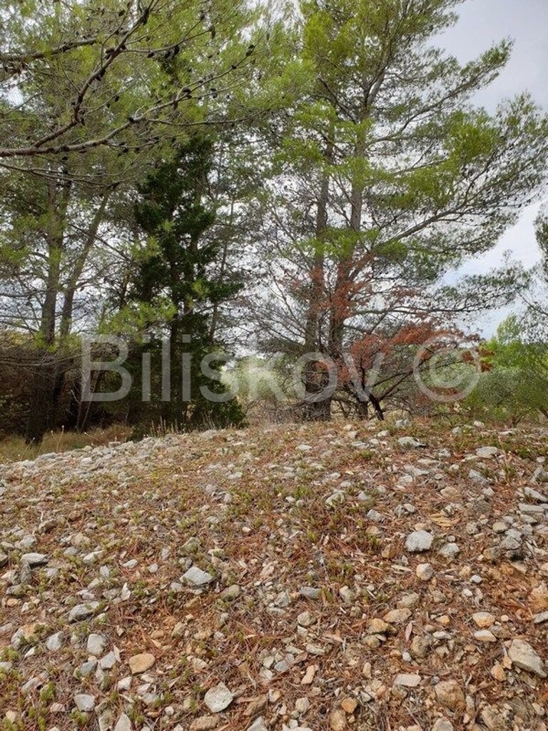 Image 4476039 - 2