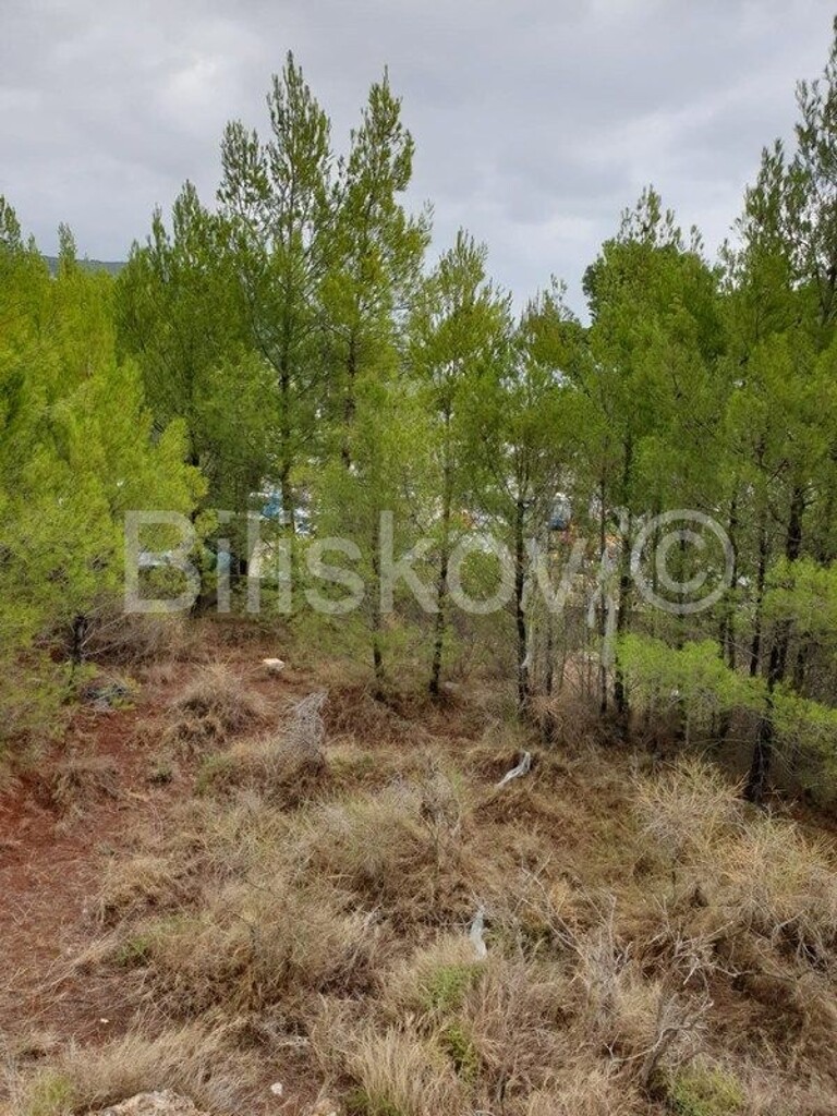 Image 4476039 - 1