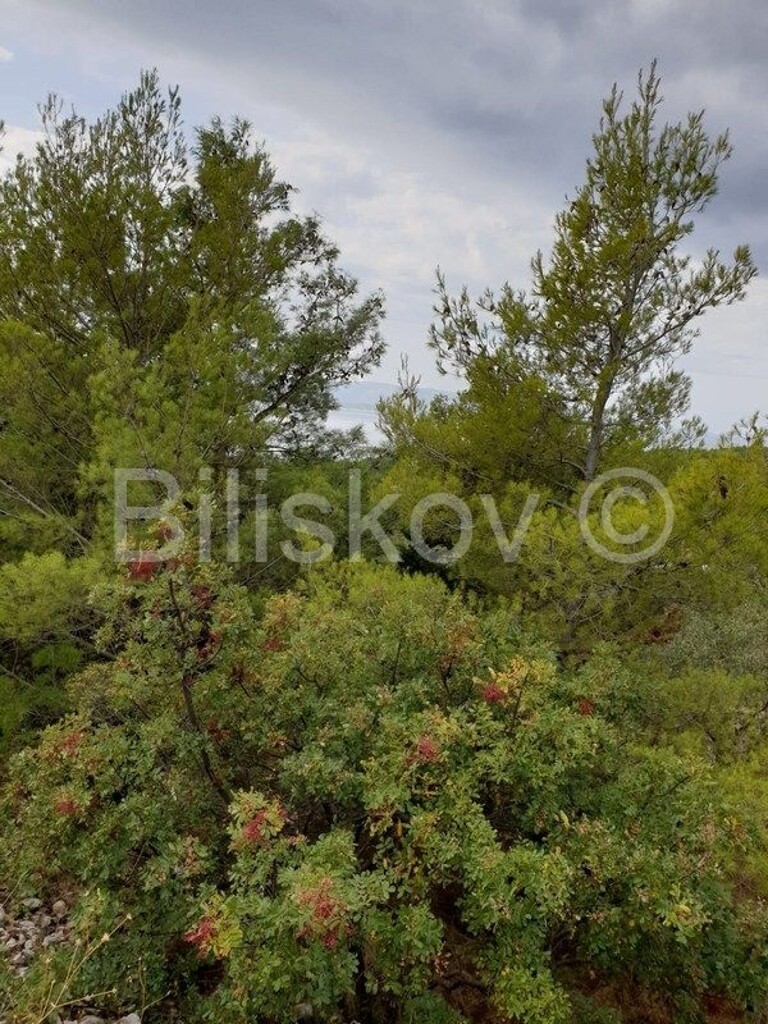 Image 4476039 - 3