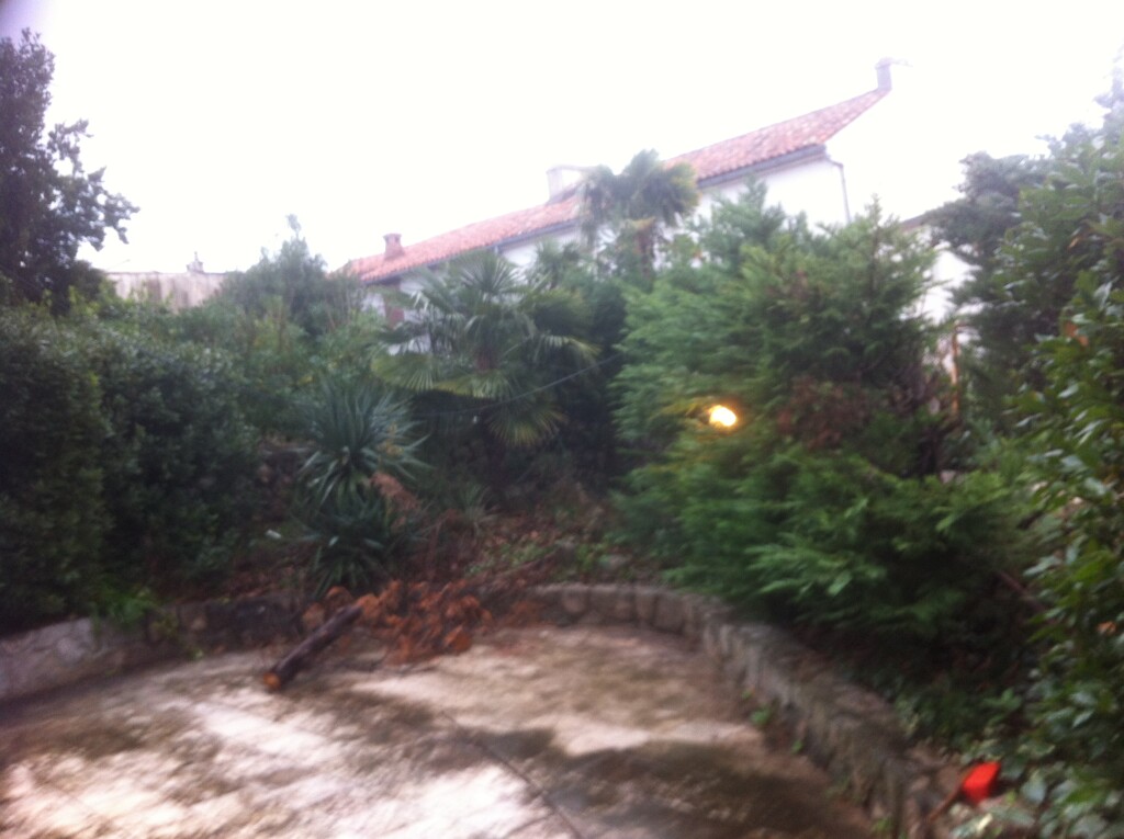 Image 4478118 - 2