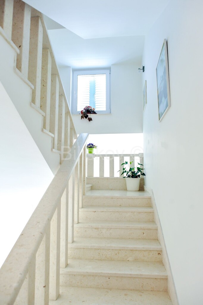 Image 4481325 - 6