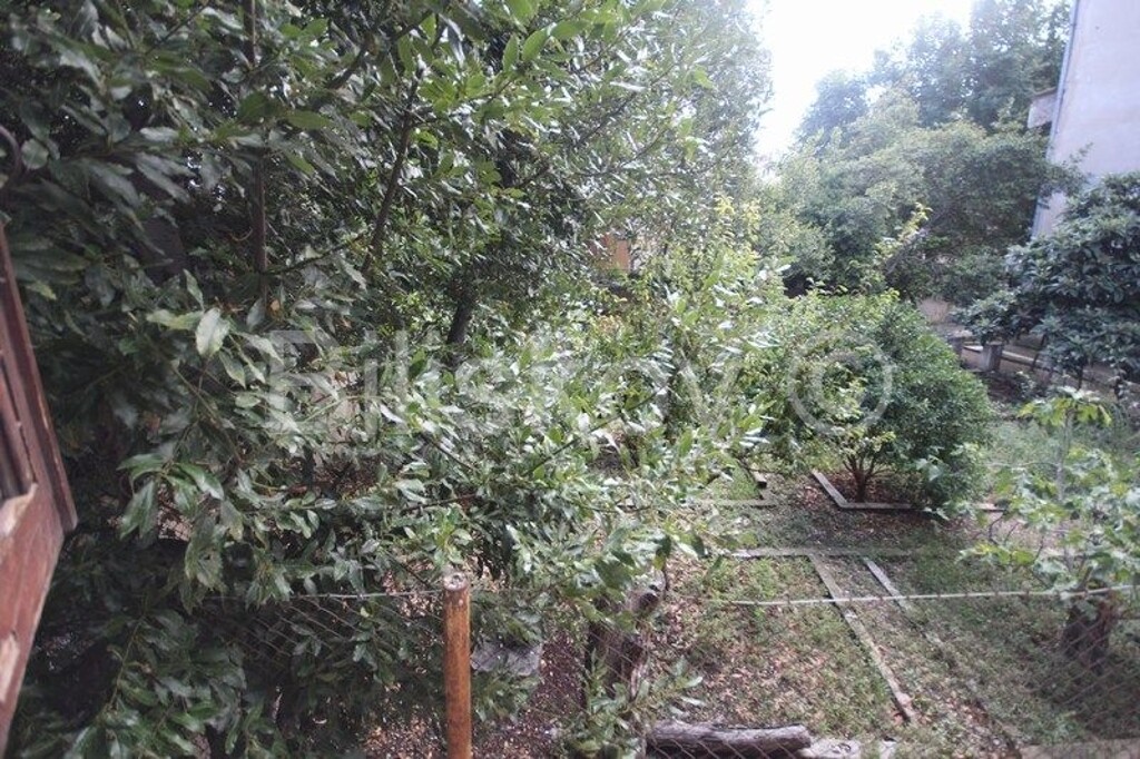 Image 4484656 - 10