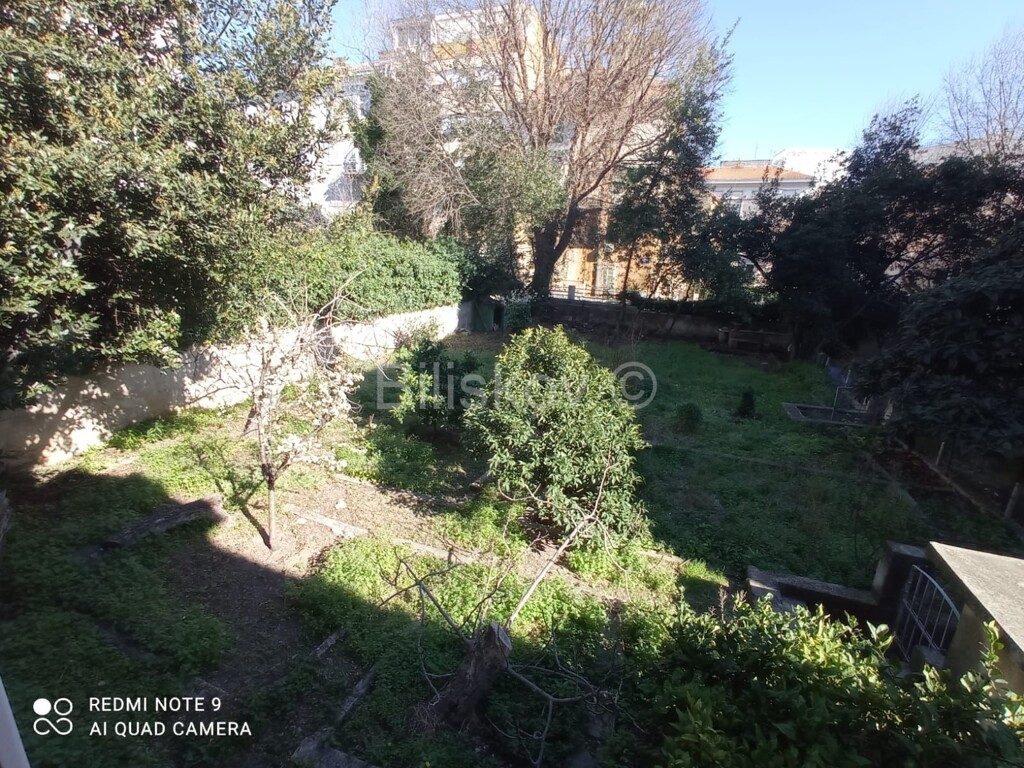 Image 4484656 - 12
