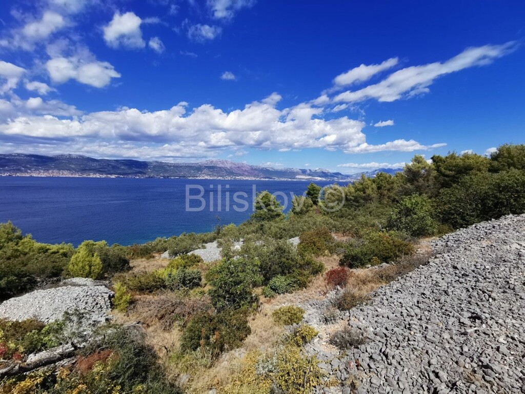 Image 4484660 - 1