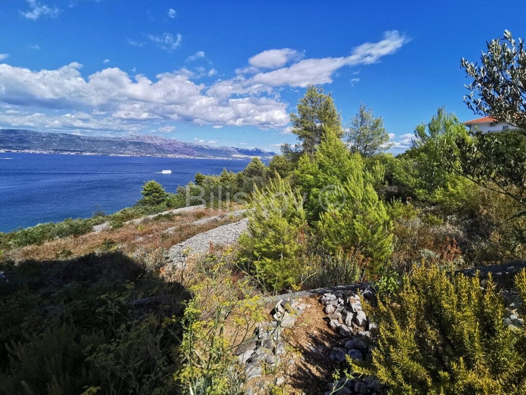 Image 4484660 - 2
