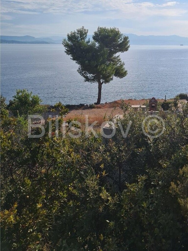 Image 4486028 - 1