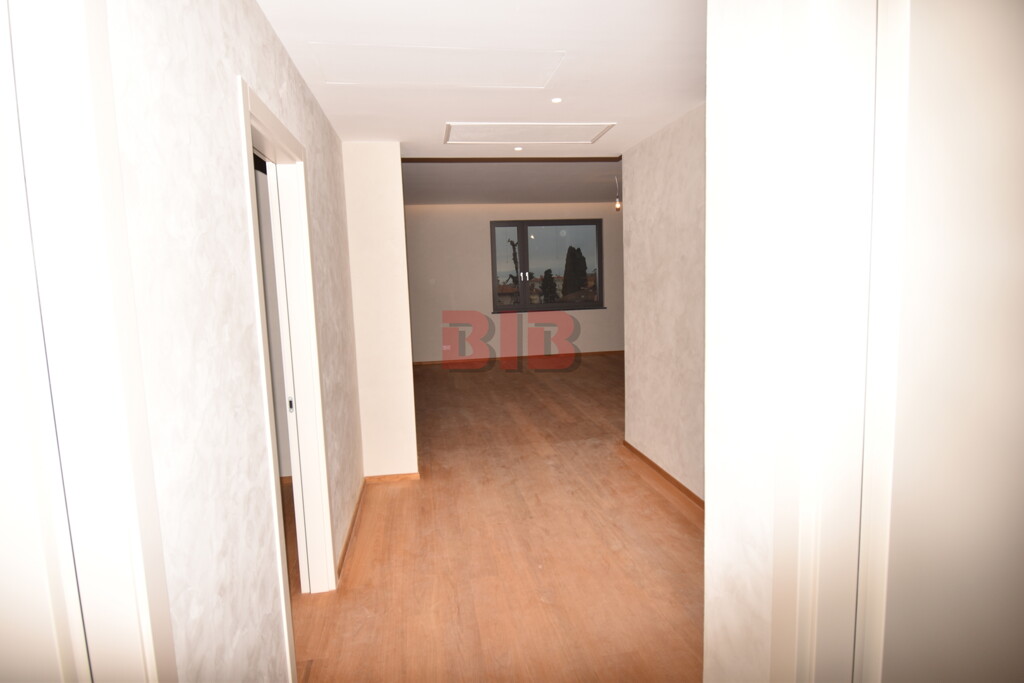 Image 4486442 - 4