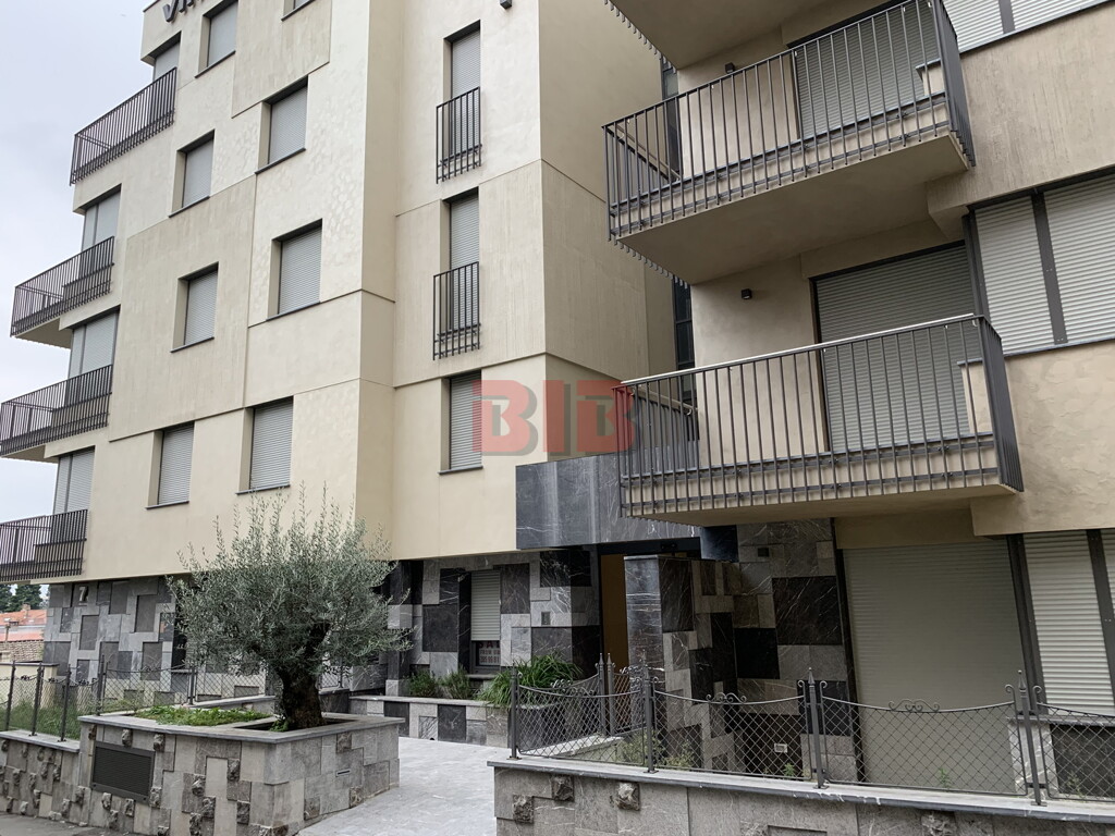Image 4498308 - 1