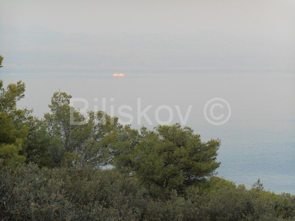 Image 4500027 - 5