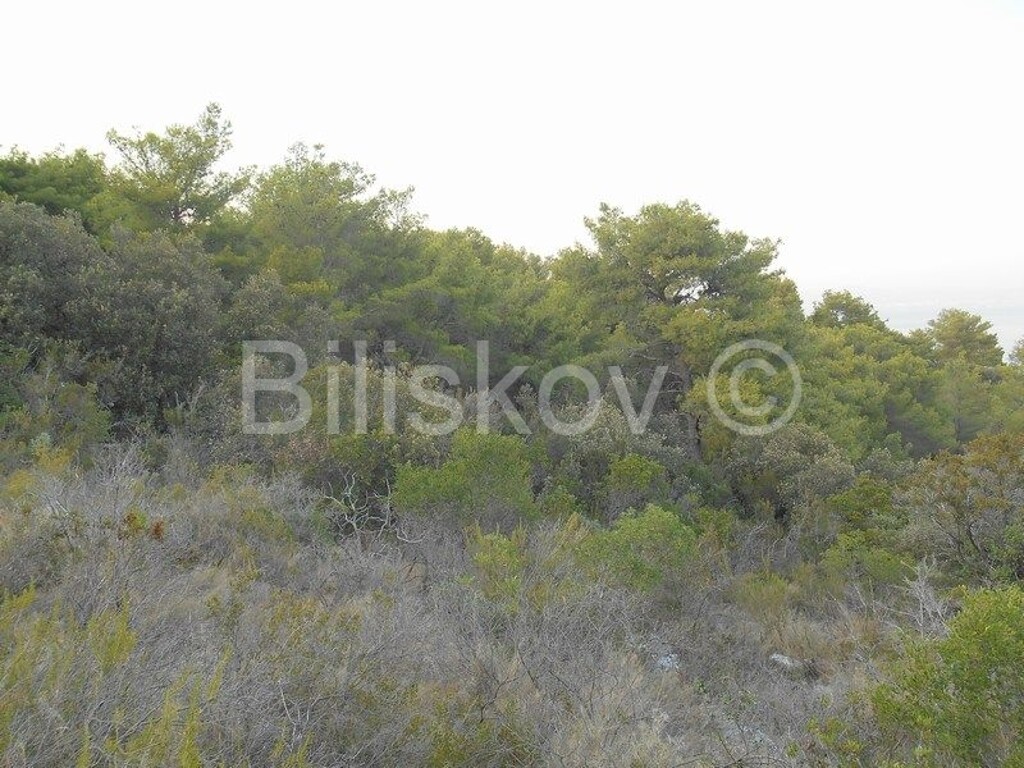 Image 4500027 - 7