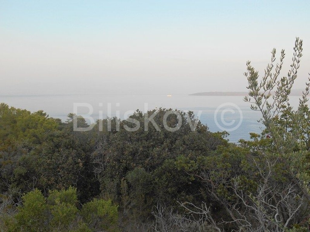 Image 4500027 - 4