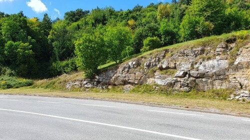 Gorski kotar, Vrbovsko, zemljište prodaja