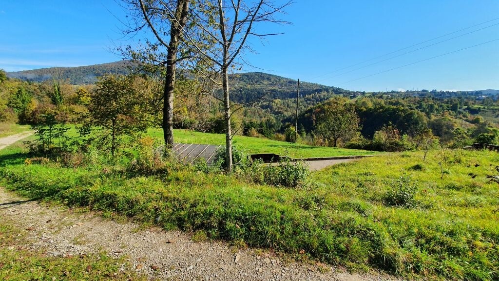 Image 4503704 - 5