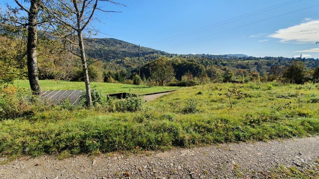 Image 4503704 - 4