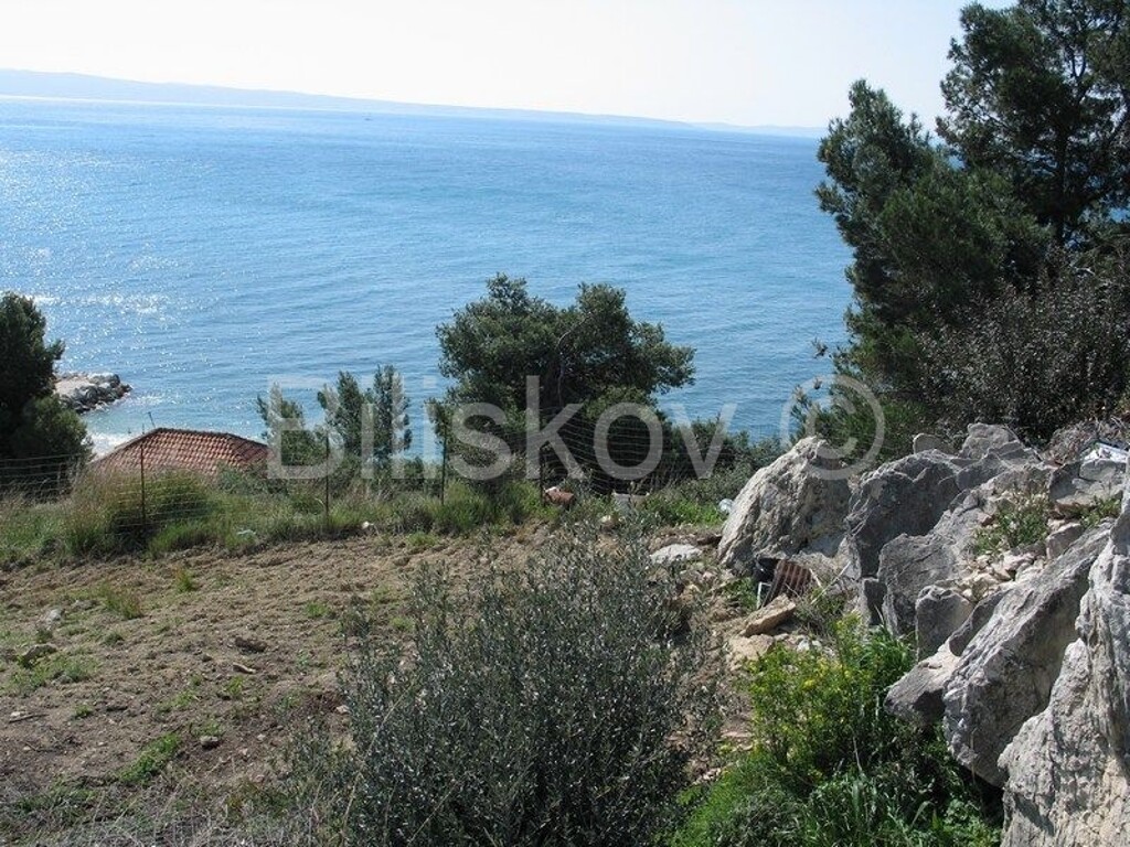 Image 4512140 - 1