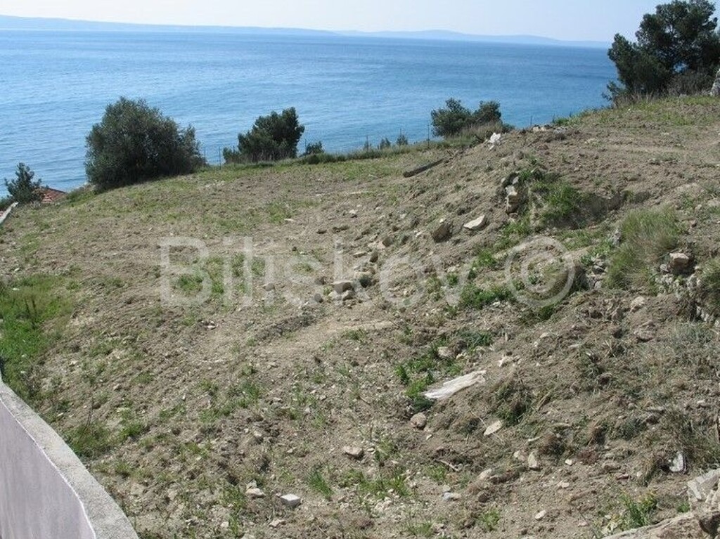 Image 4512140 - 2