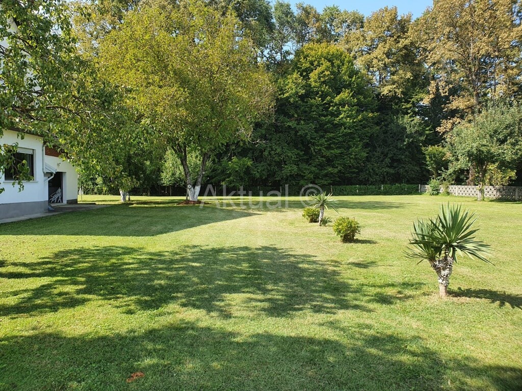 Image 4524208 - 8