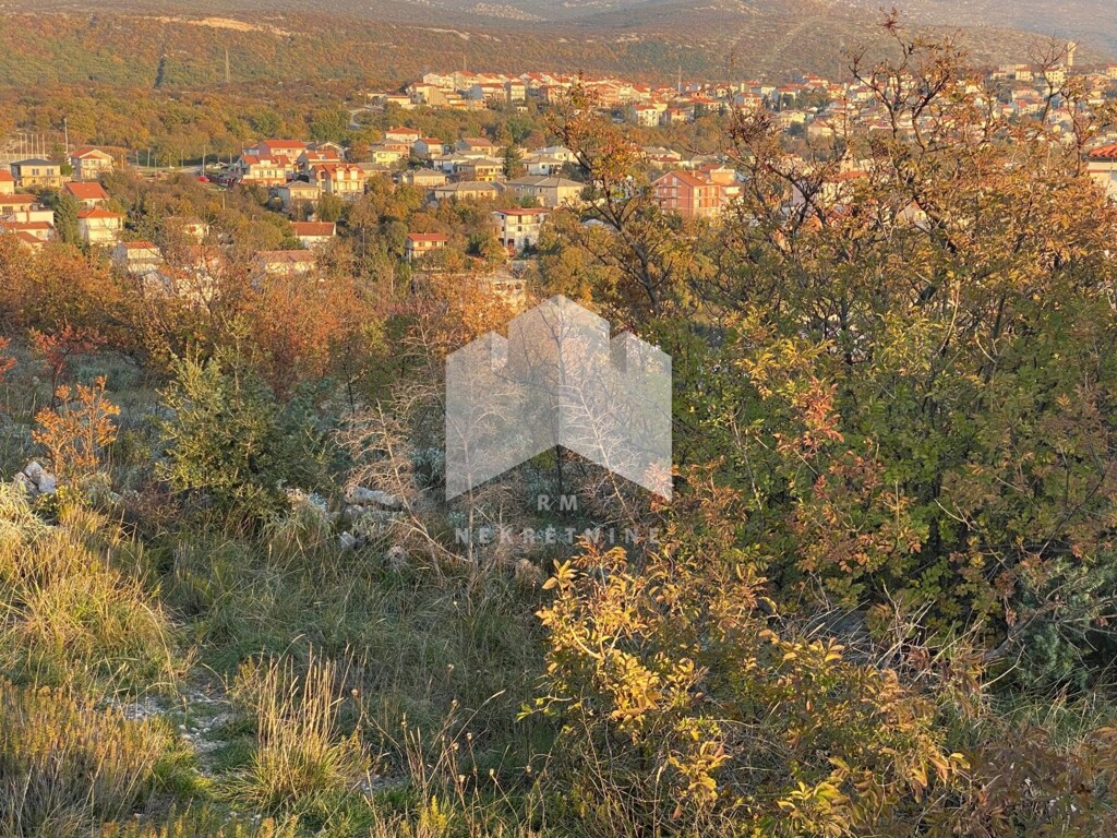 Image 4534673 - 1