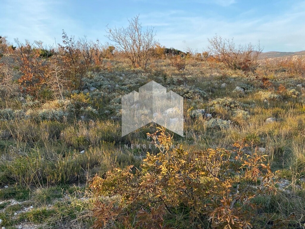 Image 4534673 - 5