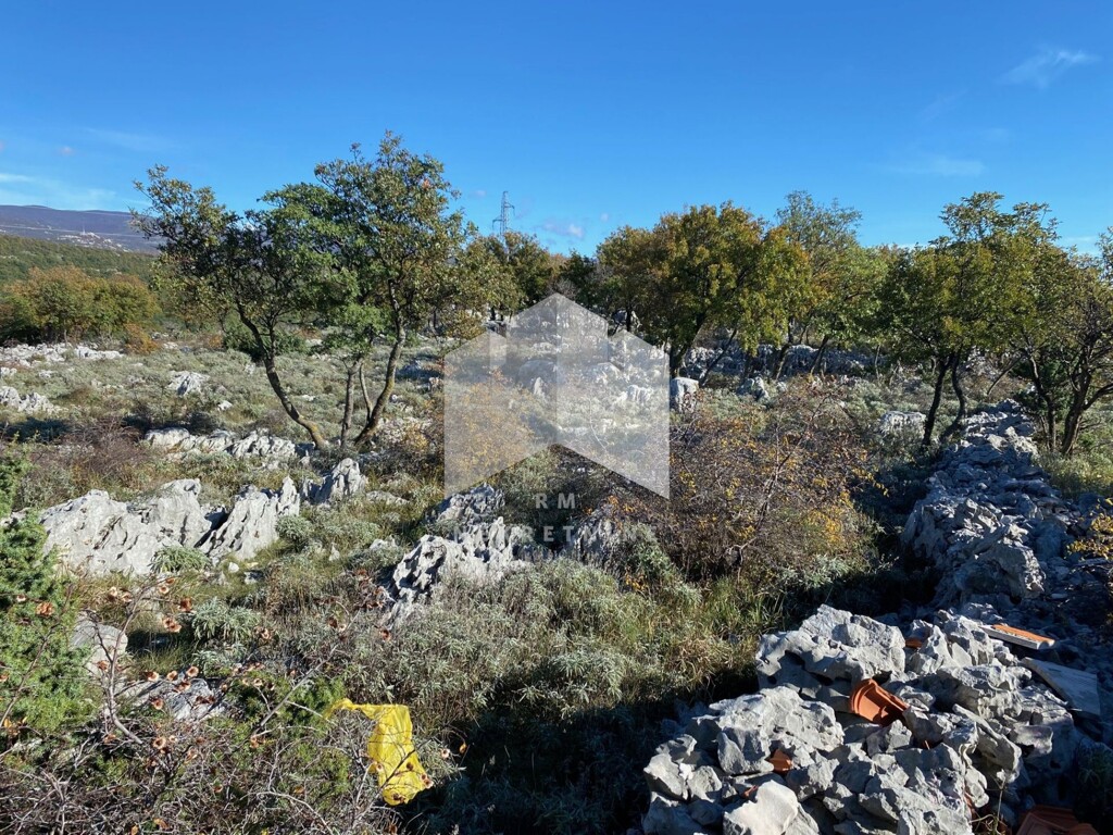 Image 4540418 - 2