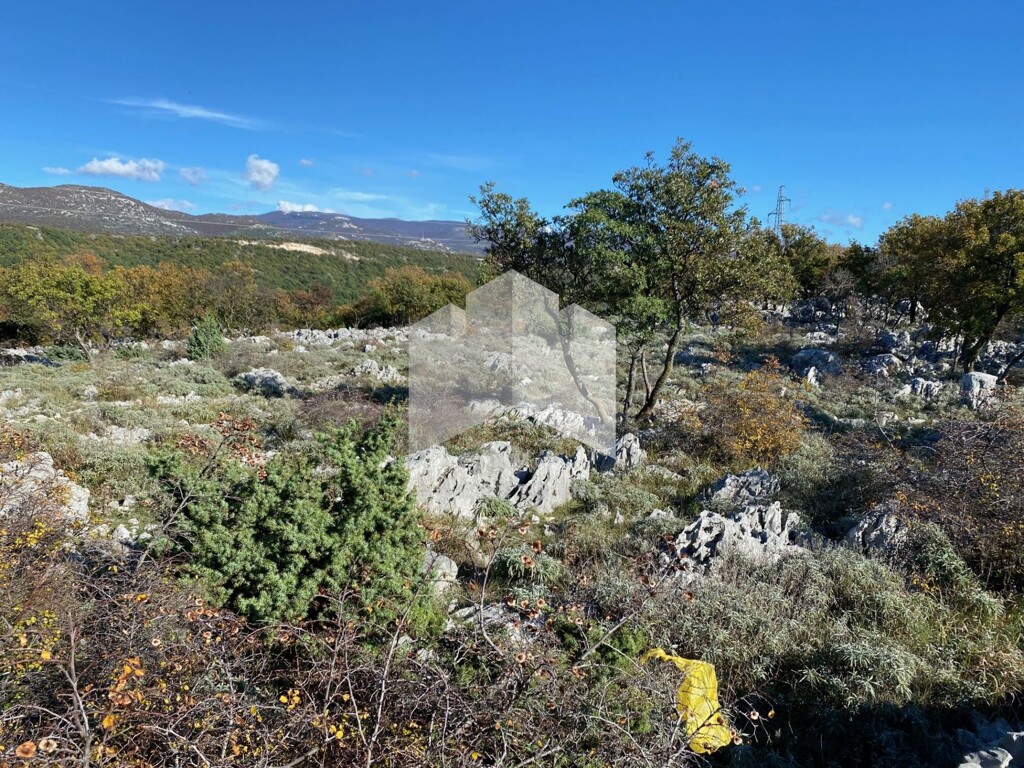 Image 4540418 - 1