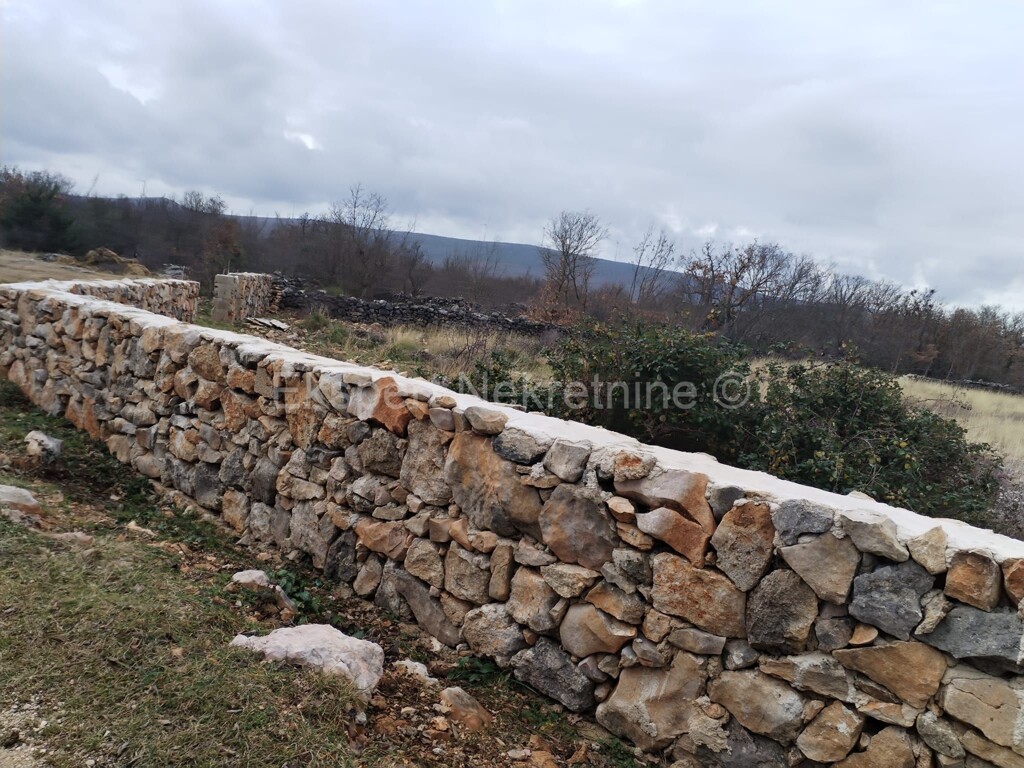 Image 4547170 - 5