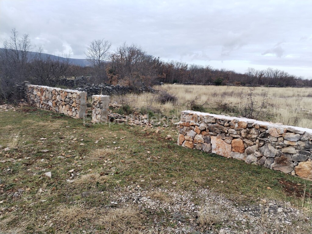 Image 4547170 - 1
