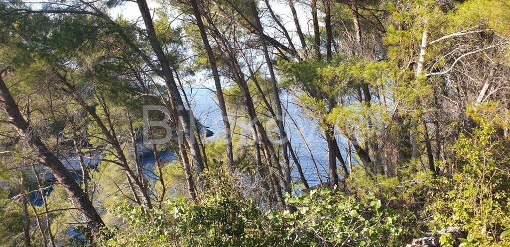 Image 4594956 - 5