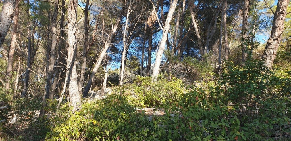 Image 4594956 - 9