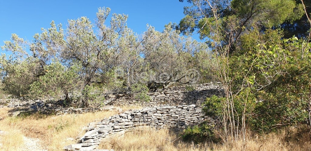 Image 4594956 - 10