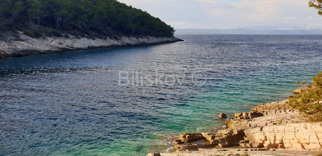 Image 4594956 - 1