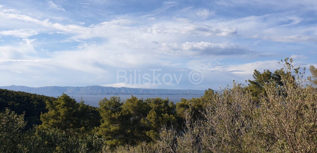 Image 4594956 - 7